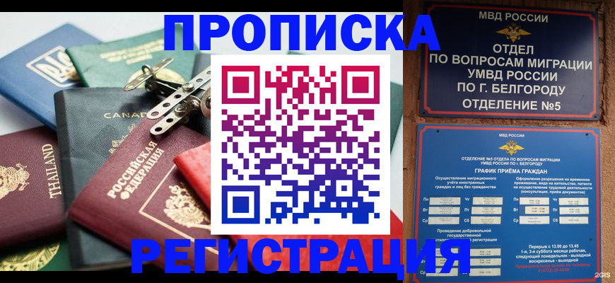 временная регистрация недорого в Поворино